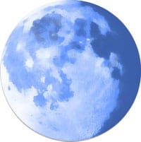 Pale Moon logo