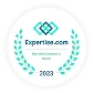 A circular badge with laurel branches reads "Expertise.com, Best Web Designers in Detroit, 2023" in teal and black text.
