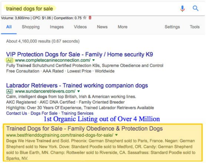 Seo rerp.png