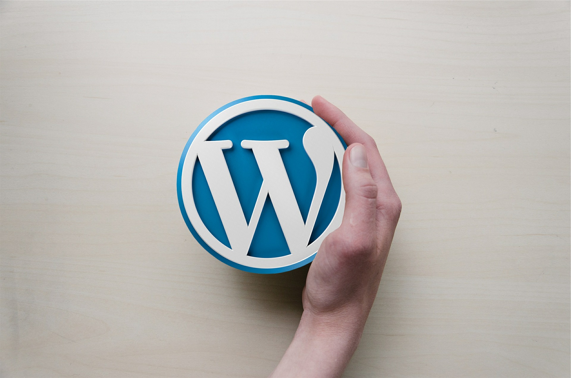 Hand holding a Wordpress logo