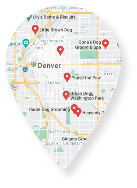 Map of Denver in Google maps with red pins