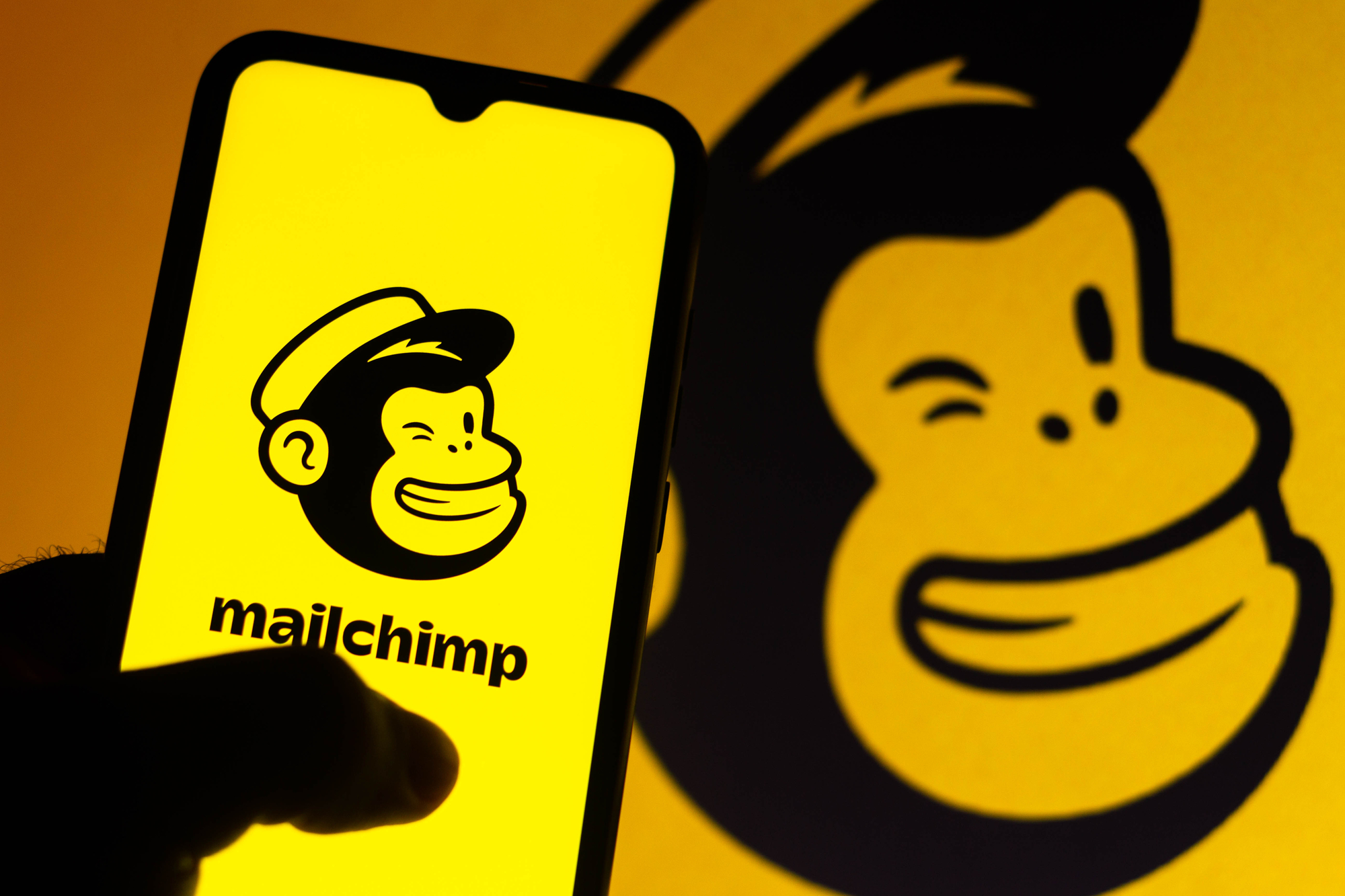 person holding a cellphone with mailchimp logo on the screen and at the background